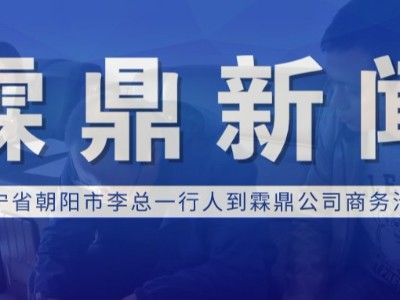 【霖鼎新闻】辽宁省朝阳市李总一行人到霖鼎公司商务洽谈