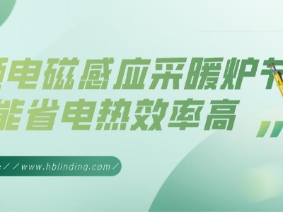 高频电磁感应采暖炉节能省电热效率高