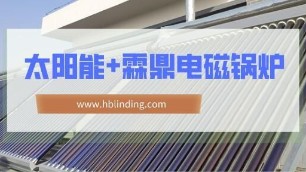 霖鼎新闻