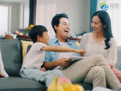 家用电磁壁挂炉：温馨小家的温暖守护者